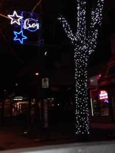 WBBIA Street Lights - Pole & Tree